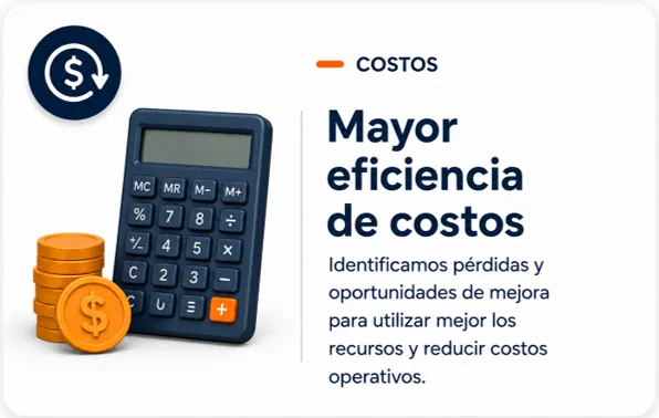 Mayor eficiencia de costos mediante identificación de pérdidas y optimización de recursos